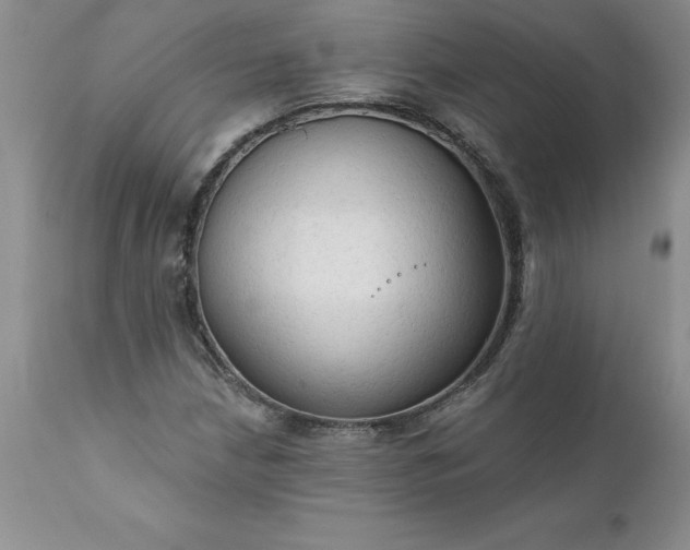 X0000111801210200907301201