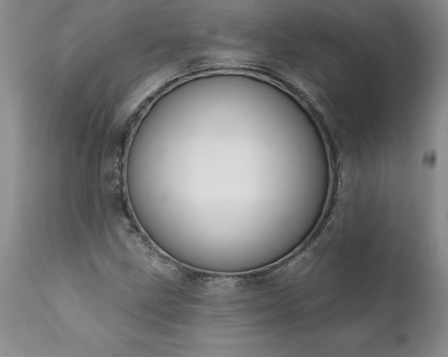 X0000111801211200907301201