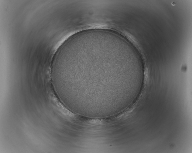 X0000111801212200907301201