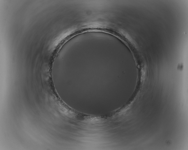 X0000111801213200907301201