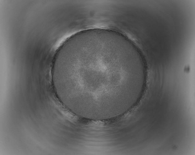 X0000111801214200907301201