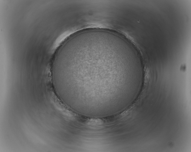 X0000111801215200907301201
