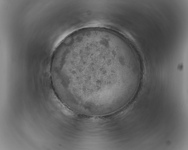 X0000111801216200907301201