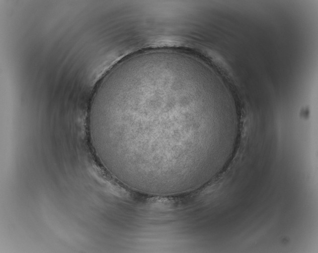 X0000111801217200907301201