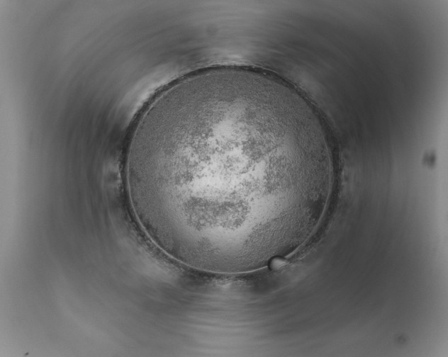 X0000111801218200907301201
