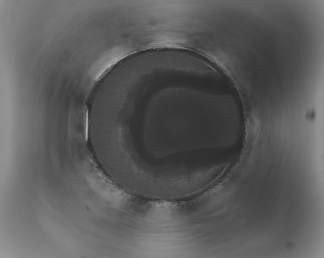 X0000111801219200907301201
