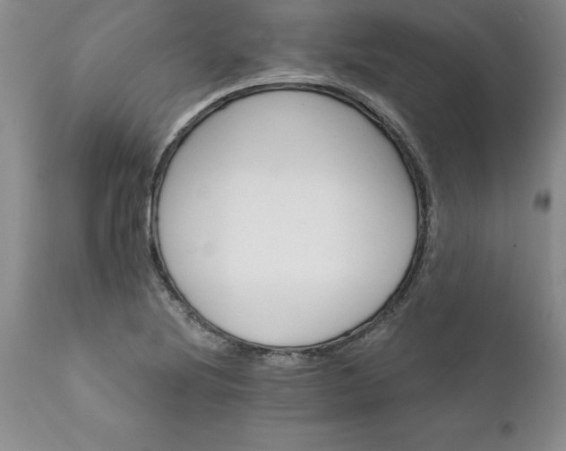 X0000111801220200907301201