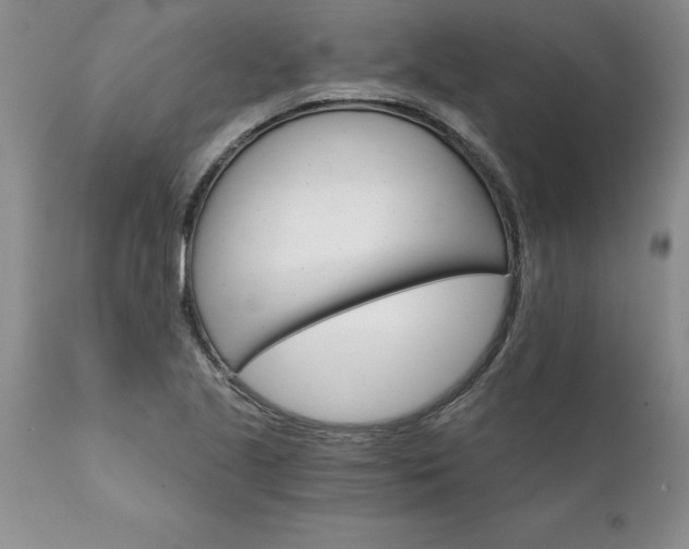 X0000111801221200907301201