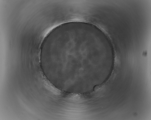 X0000111801222200907301201
