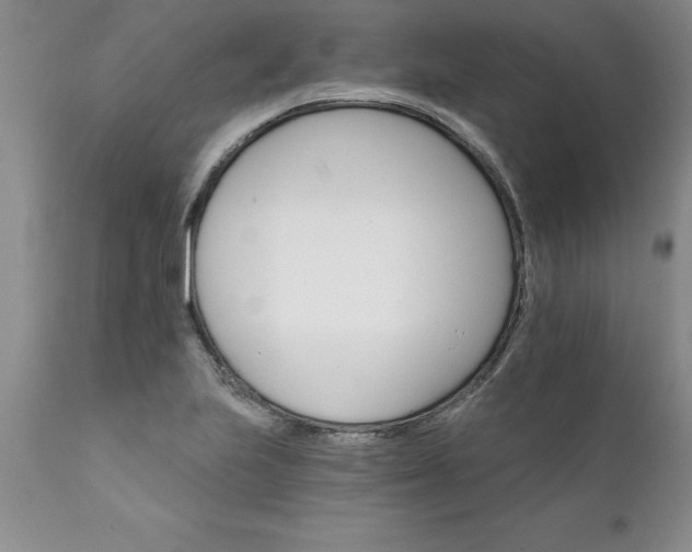 X0000111801223200907301201