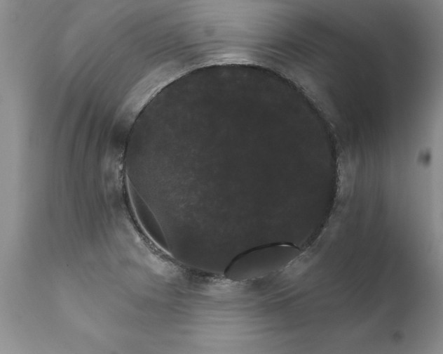 X0000111801225200907301201