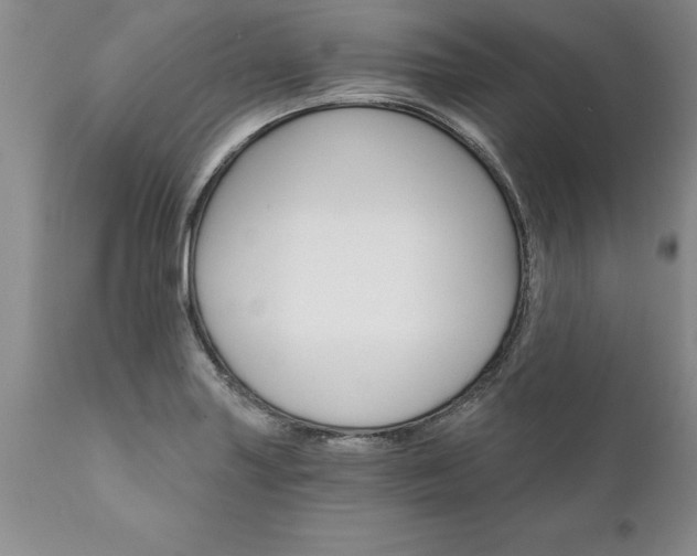 X0000111801227200907301201