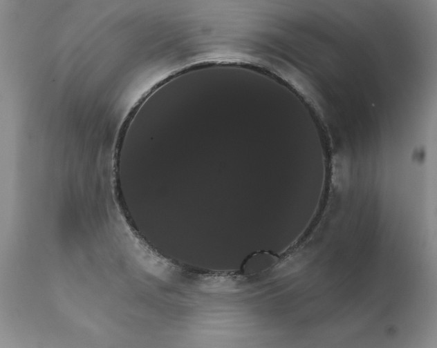 X0000111801229200907301201