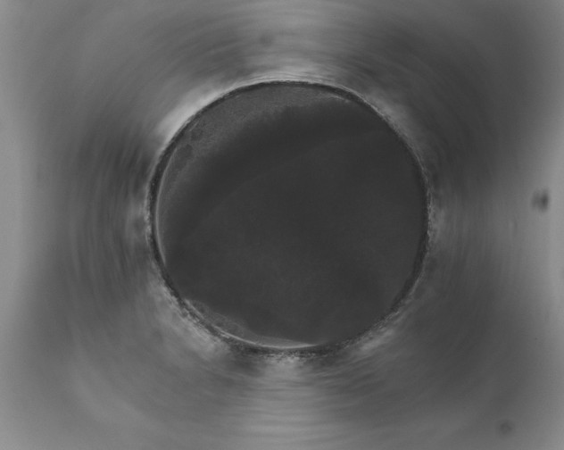 X0000111801230200907301201