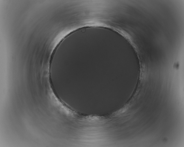 X0000111801231200907301201