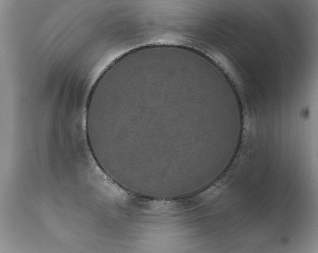 X0000111801232200907301201