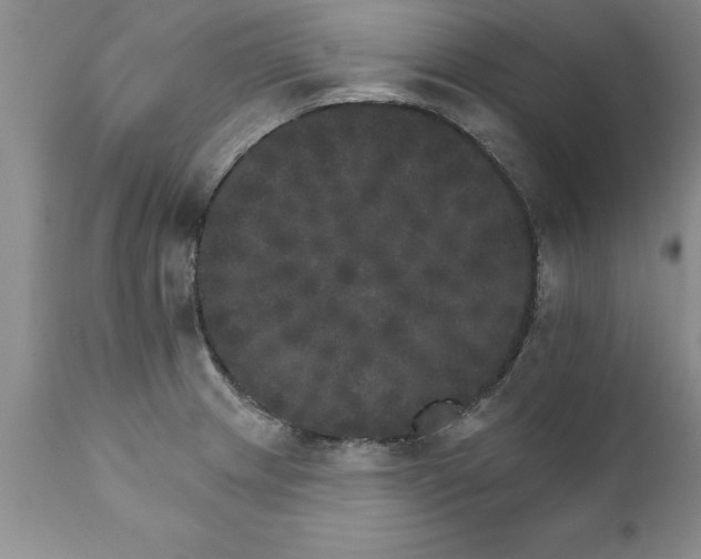 X0000111801233200907301201