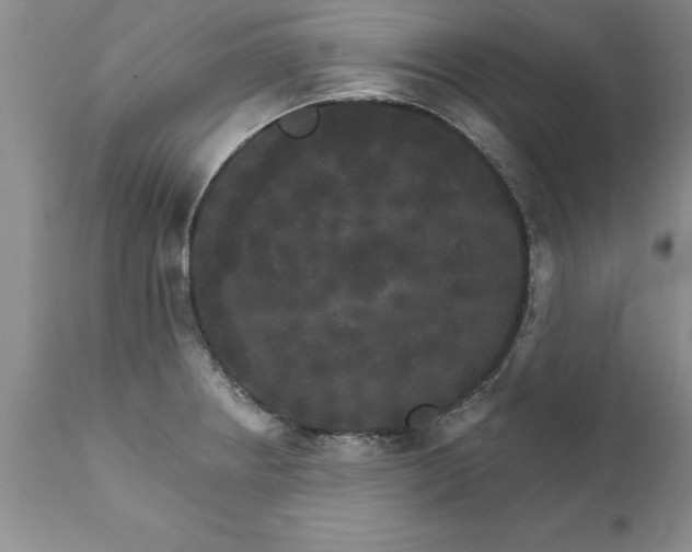 X0000111801234200907301201