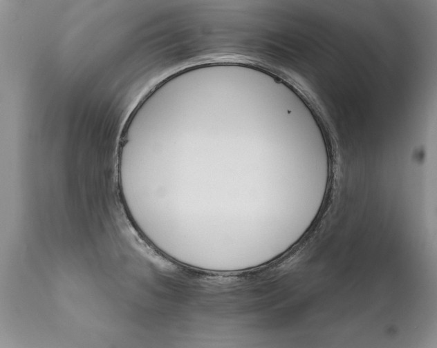 X0000111801236200907301201