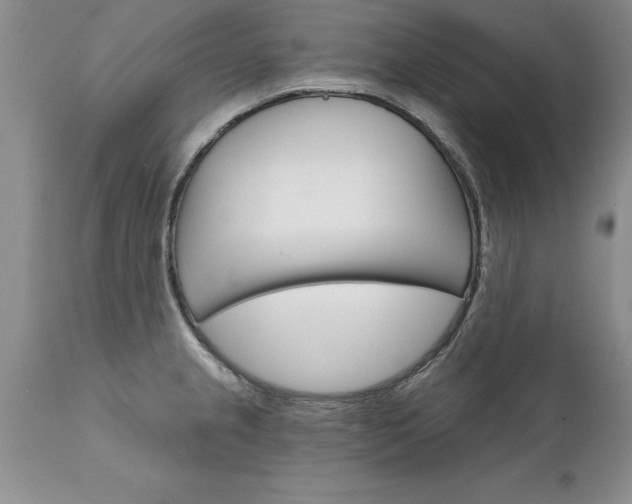 X0000111801237200907301201