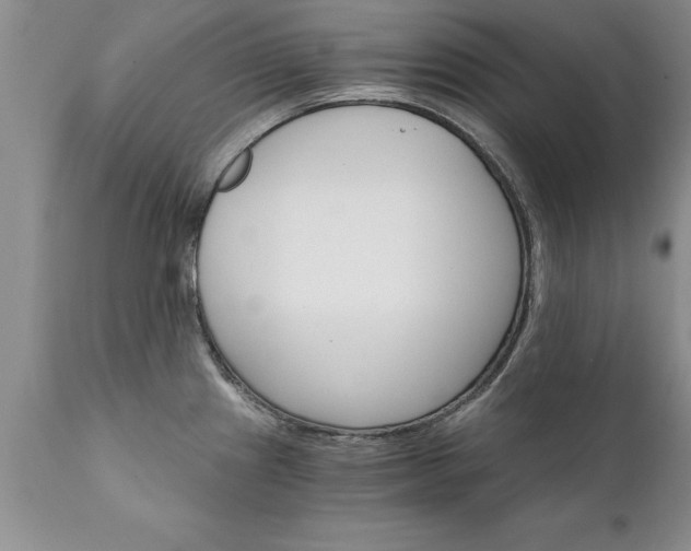 X0000111801241200907301202