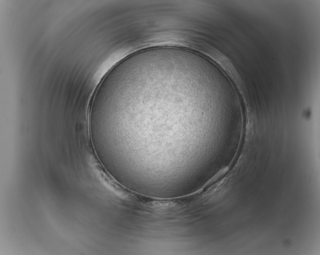 X0000111801242200907301202