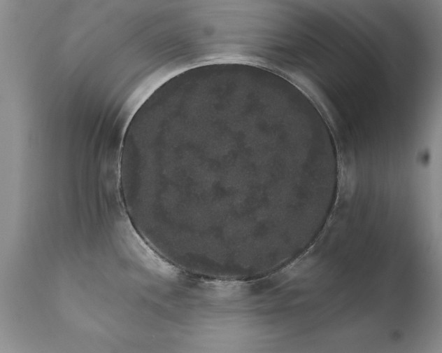 X0000111801244200907301202