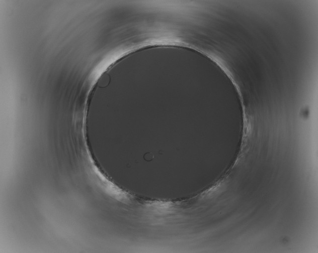 X0000111801245200907301202