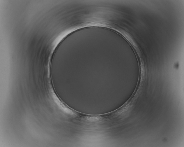 X0000111801246200907301202