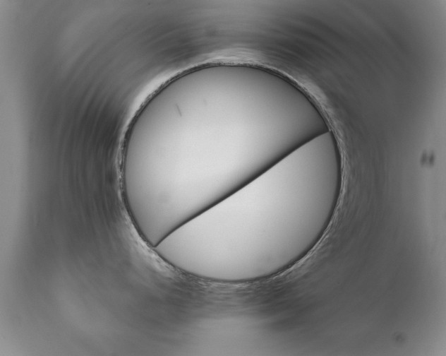 X0000111801248200907301202