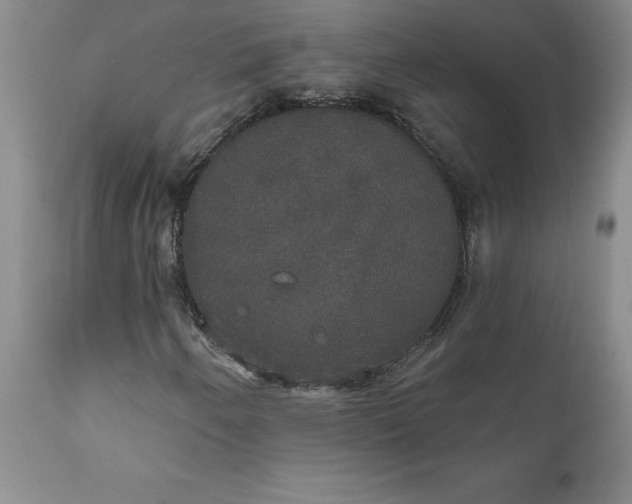 X0000111801250200907301201