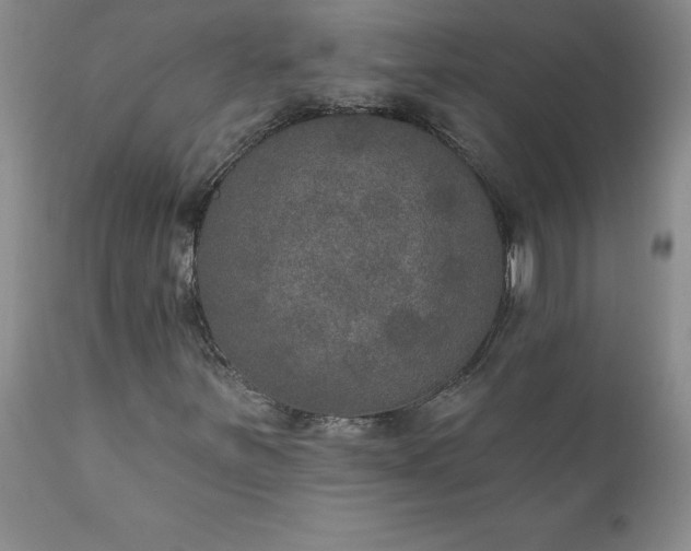 X0000111801251200907301201
