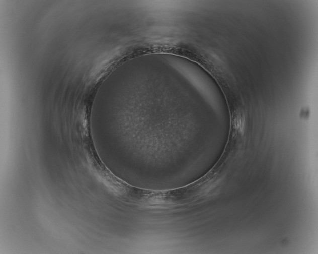 X0000111801252200907301201