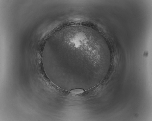 X0000111801253200907301201