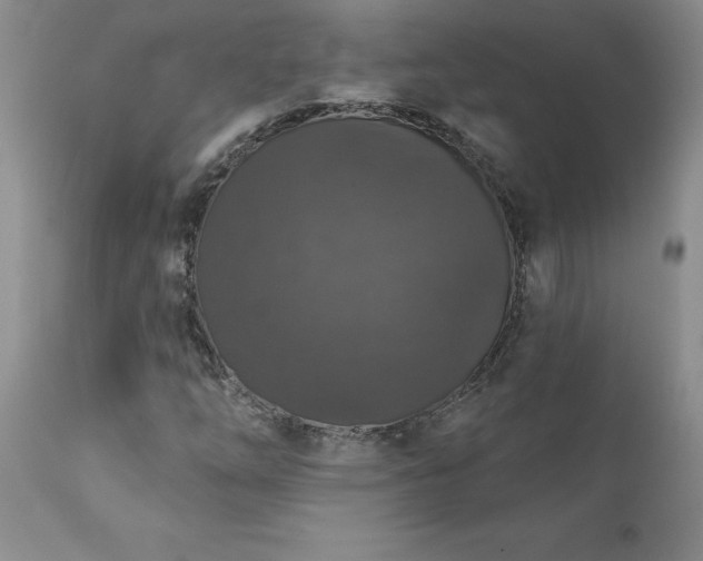 X0000111801254200907301201