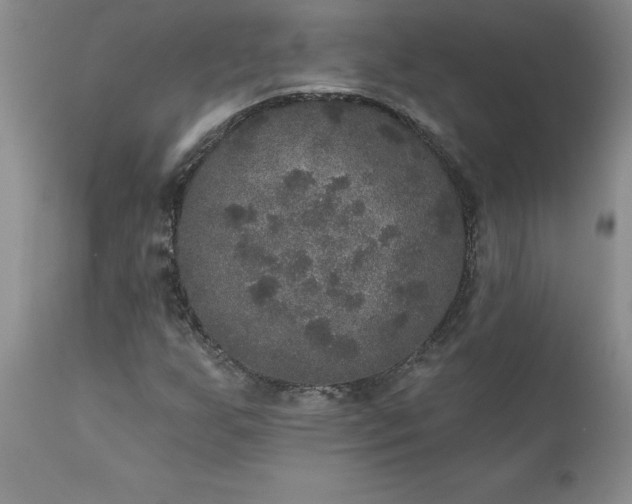 X0000111801255200907301201