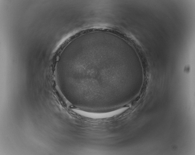 X0000111801256200907301201