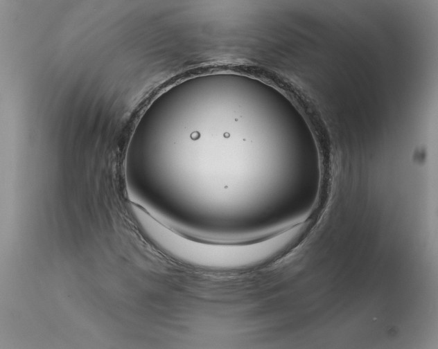 X0000111801257200907301201