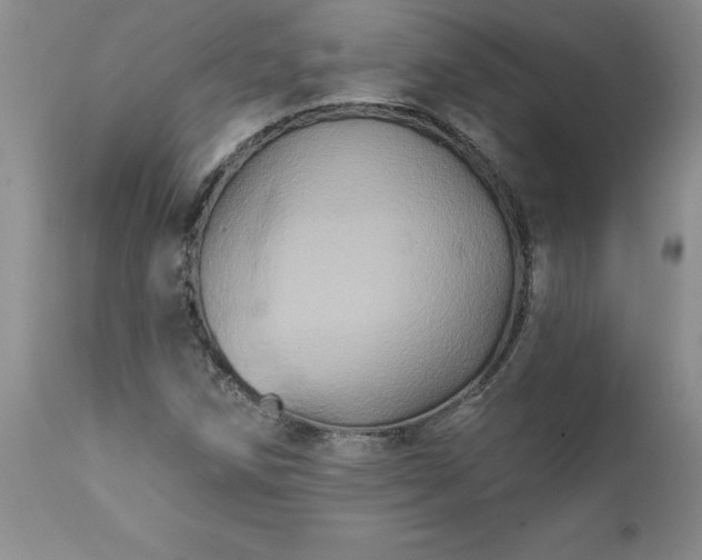 X0000111801258200907301201