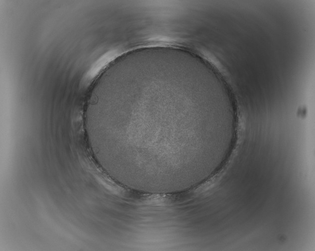 X0000111801259200907301201