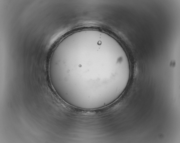 X0000111801261200907301200