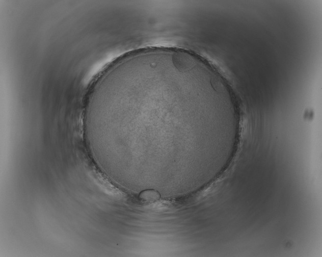 X0000111801262200907301200