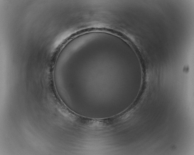 X0000111801263200907301200