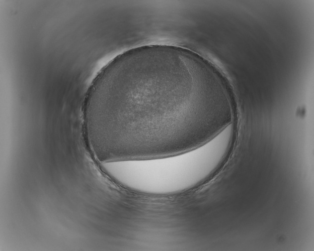 X0000111801264200907301200