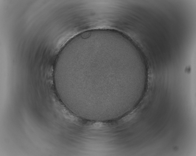 X0000111801265200907301200