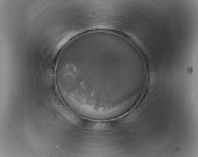 X0000111801266200907301200
