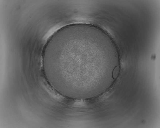 X0000111801267200907301200