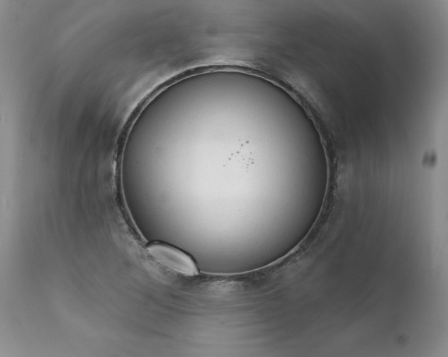 X0000111801268200907301200