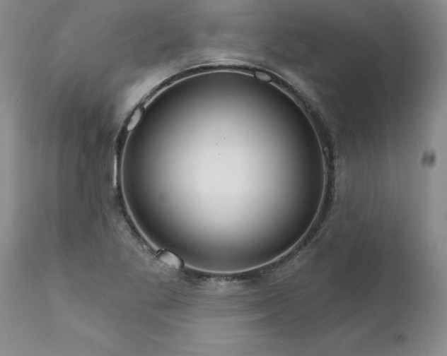 X0000111801269200907301200
