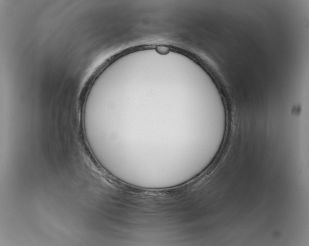 X0000111801270200907301200